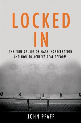 Locked In: The True Causes of Mass Incarceration-and How to Achieve Real Reform (Hardback)
