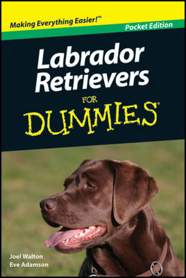 Labrador Retrievers for Dummies (Paperback)
