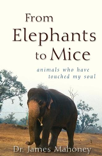 From Elephants to Mice: Animals Who Have Touched My Soul (Hardback)