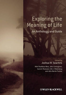 Exploring the Meaning of Life: An Anthology and Guide (Hardback)