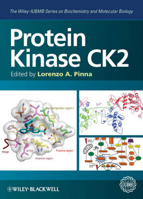Protein Kinase CK2 - Wiley-IUBMB Series on Biochemistry and Molecular Biology (Hardback)