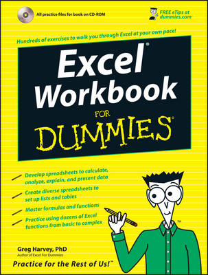 Excel Workbook For Dummies (Paperback)