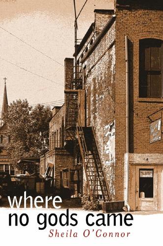 Where No Gods Came - Sweetwater Fiction: Originals (Paperback)