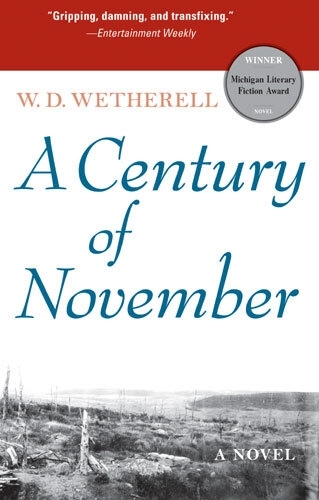 A Century of November: A Novel (Hardback)