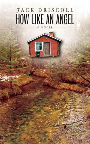 How Like an Angel: A Novel - Sweetwater Fiction: Originals (Hardback)