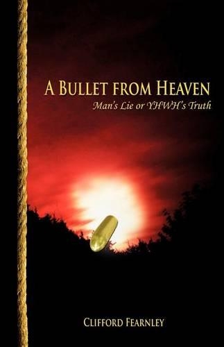 A Bullet from Heaven (Paperback)