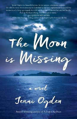 The Moon is Missing (Paperback)