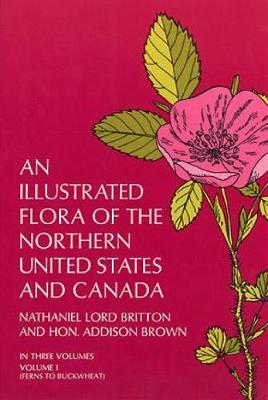 An Illustrated Flora of the Northern United States and Canada: v. 1 (Paperback)