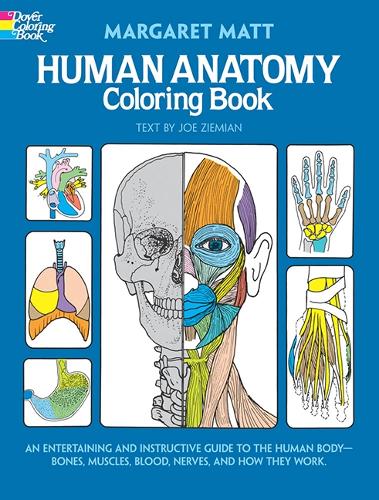 Human Anatomy - Dover Children's Science Books (Paperback)