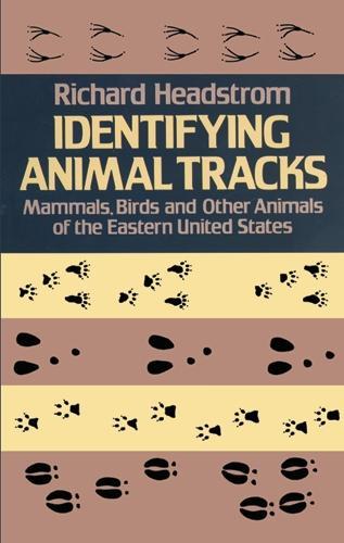 Identifying Animal Tracks: Mammals, Birds, and Other Animals of the Eastern United States: Mammals, Birds, and Other Animals of the Eastern United States (Paperback)