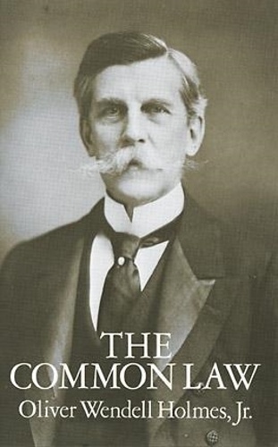 The Common Law (Paperback)