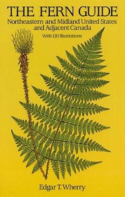 The Fern Guide: Northeastern and Midland United States and Adjacent Canada (Paperback)