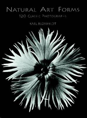 Natural Art Forms (Paperback)