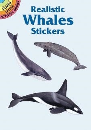 Realistic Whales Stickers - Dover Little Activity Books Stickers (Paperback)