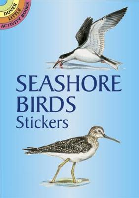 Seashore Bords Stickers - Dover Little Activity Books Stickers (Paperback)