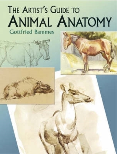 The Artist's Guide to Animal Anatomy - Dover Anatomy for Artists (Paperback)