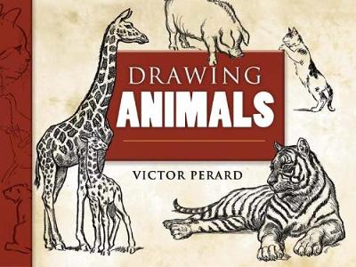 Drawing Animals - Dover Art Instruction (Paperback)