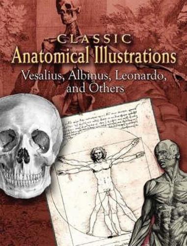 Classic Anatomical Illustrations - Dover Fine Art, History of Art (Paperback)