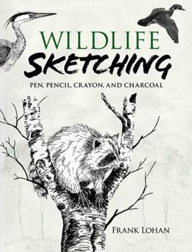 Wildlife Sketching: Pen, Pencil, Crayon and Charcoal - Dover Art Instruction (Paperback)