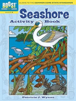 BOOST Seashore Activity Book - BOOST Educational Series (Paperback)