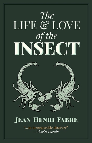 The Life and Love of the Insect (Paperback)