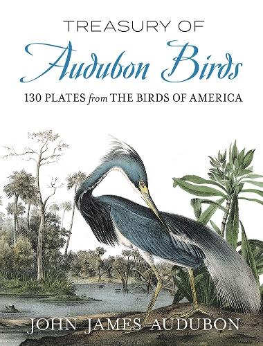 Treasury of Audubon Birds: 130 Plates from The Birds of America (Paperback)