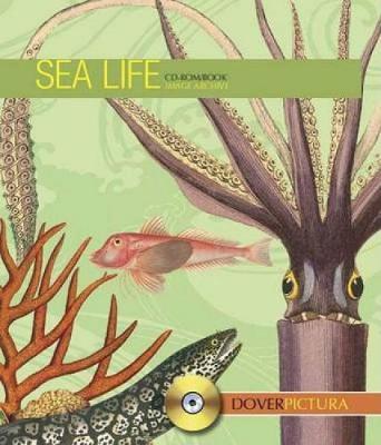 Sea Life - Dover Pictura Electronic Clip Art