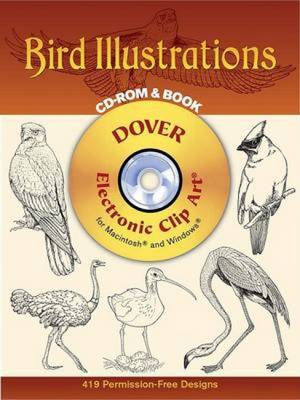 Bird Illustrations - Dover Electronic Clip Art