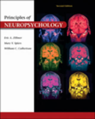 Principles of Neuropsychology (Hardback)