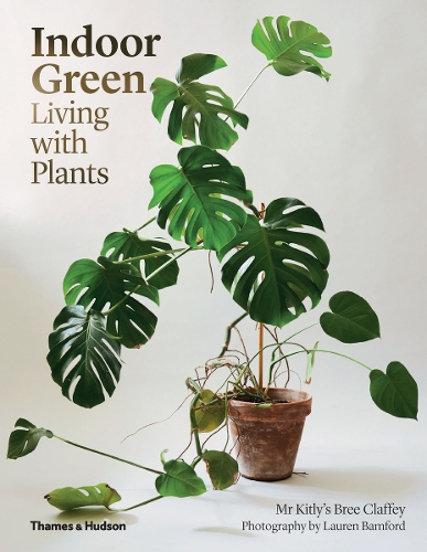 Indoor Green: Living with Plants (Hardback)