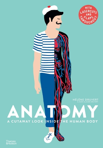 Anatomy: A Cutaway Look Inside the Human Body (Hardback)