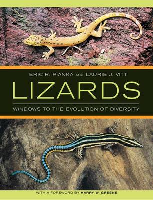 Lizards: Windows to the Evolution of Diversity - Organisms and Environments No. 5 (Hardback)