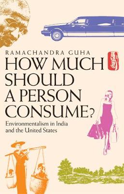 How Much Should a Person Consume?: Environmentalism in India and the United States (Paperback)