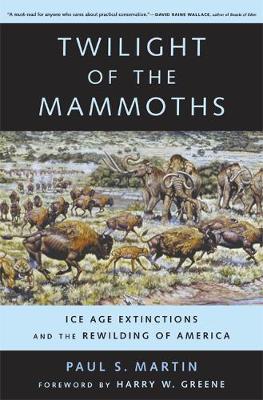 Twilight of the Mammoths:: Ice Age Extinctions and the Rewilding of America - Organisms and Environments 8 (Paperback)