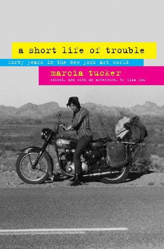 A Short Life of Trouble: Forty Years in the New York Art World (Hardback)