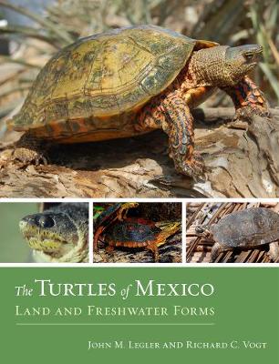 The Turtles of Mexico: Land and Freshwater Forms (Hardback)