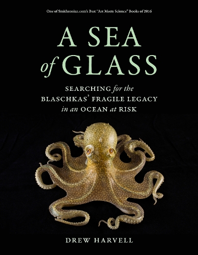 A Sea of Glass: Searching for the Blaschkas' Fragile Legacy in an Ocean at Risk - Organisms and Environments 13 (Paperback)
