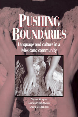 Pushing Boundaries: Language and Culture in a Mexicano Community (Paperback)