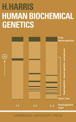 Human Biochemical Genetics (Paperback)