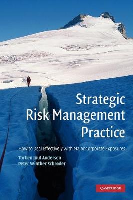 Strategic Risk Management Practice: How to Deal Effectively with Major Corporate Exposures (Hardback)