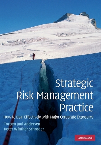 Strategic Risk Management Practice: How to Deal Effectively with Major Corporate Exposures (Paperback)