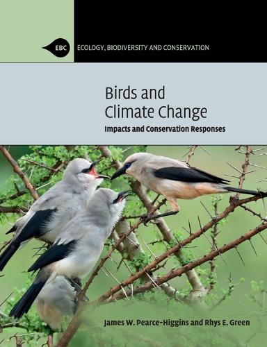 Birds and Climate Change: Impacts and Conservation Responses - Ecology, Biodiversity and Conservation (Paperback)