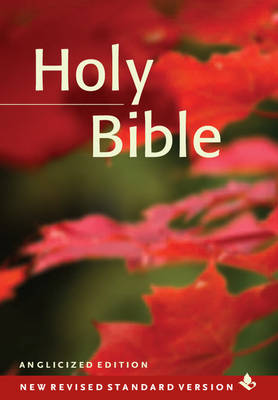 NRSV Popular Text Bible (Pack of 20)