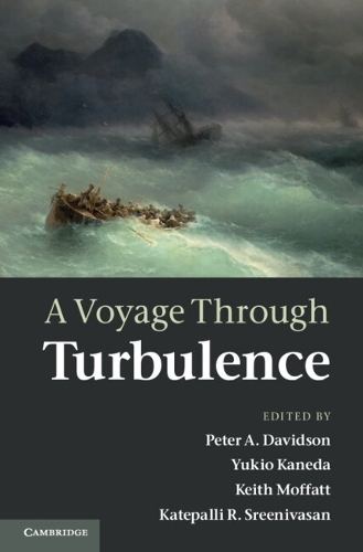 A Voyage Through Turbulence (Hardback)