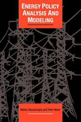 Energy Policy Analysis and Modelling - Cambridge Energy and Environment Series (Hardback)
