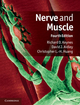 Nerve and Muscle (Hardback)