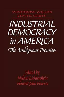 Industrial Democracy in America: The Ambiguous Promise - Woodrow Wilson Center Press (Paperback)