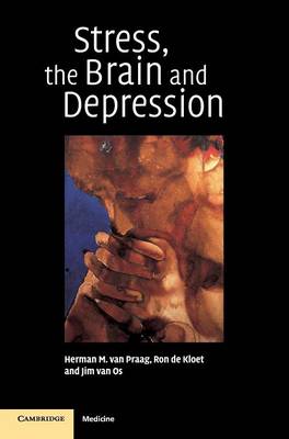 Stress, the Brain and Depression (Hardback)