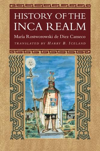 History of the Inca Realm (Paperback)