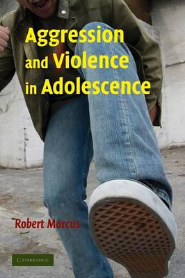 Aggression and Violence in Adolescence (Paperback)